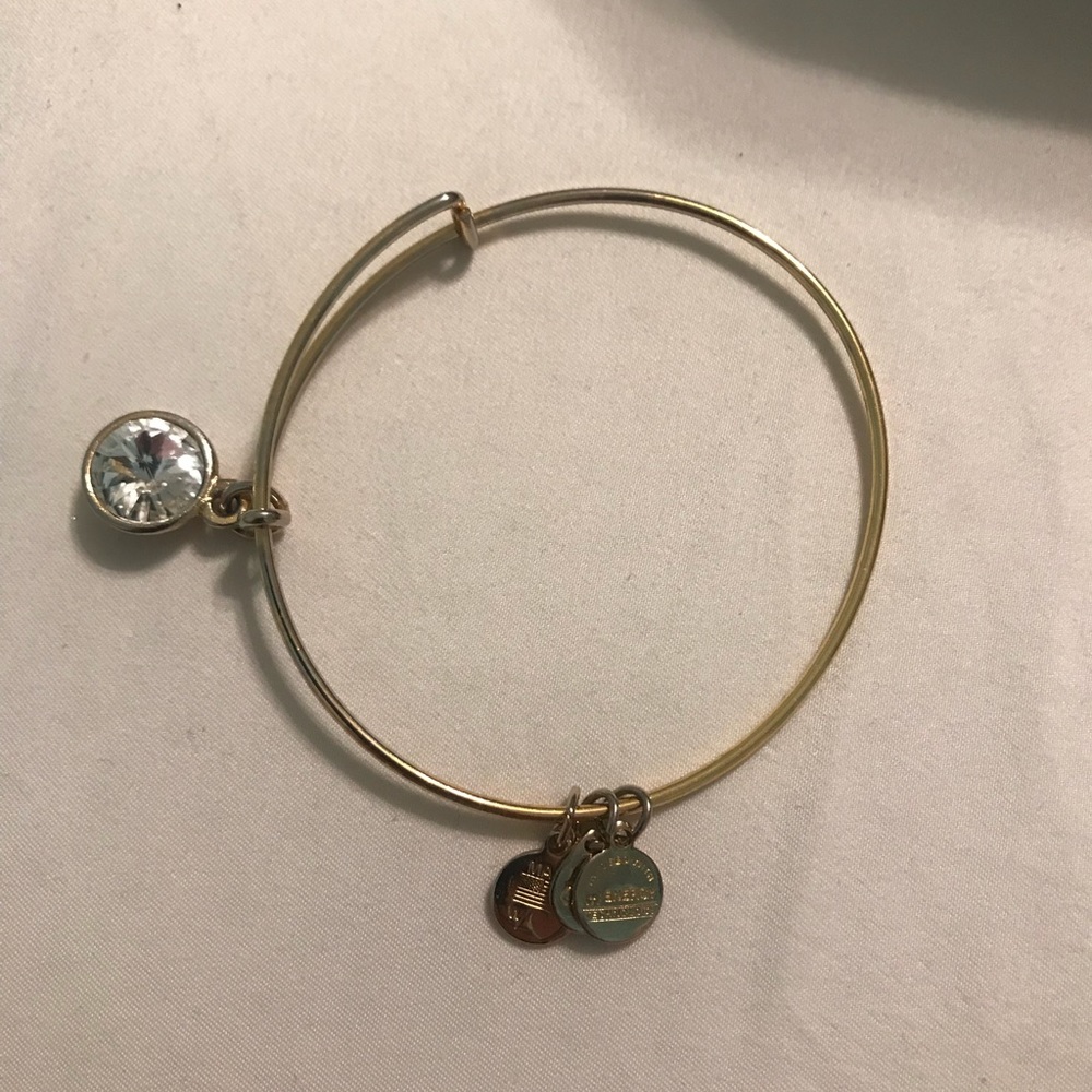 Bracelet alex and ani